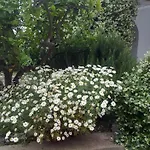 Bed & Breakfast Il Merlo