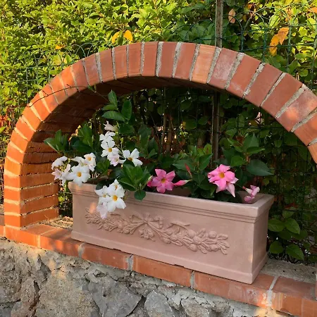 Il Merlo Bed & Breakfast Anacapri (Isola di Capri)