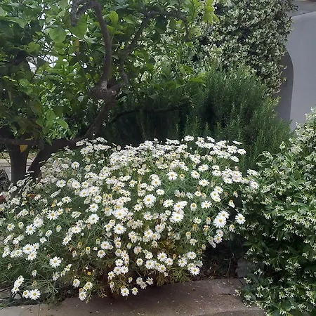 住宿加早餐酒店 Il梅洛酒店