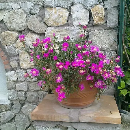 Il梅洛酒店 阿纳卡普里