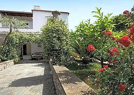 Bed & Breakfast Il Merlo Anacapri (Isola di Capri)