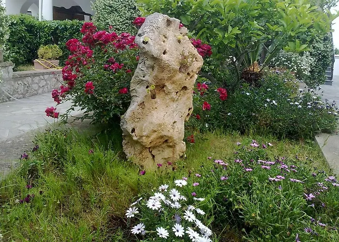 Il Merlo Bed and breakfast Anacapri (Isola di Capri)