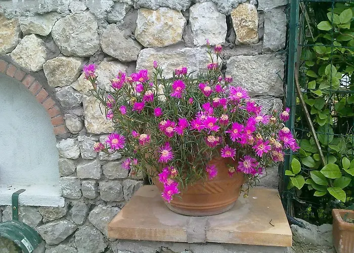 Il Merlo Anacapri (Isola di Capri)