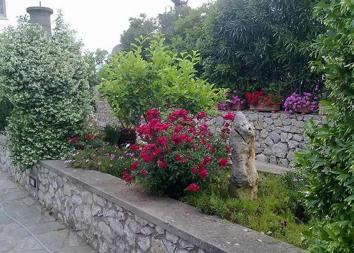 Il Merlo 3*